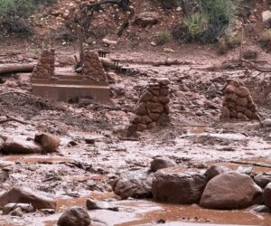 Dos muertos y unos 15 desaparecidos tras inundación repentina en el Gran Cañón en Arizona