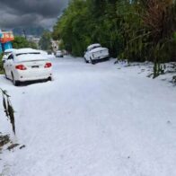 Nieve