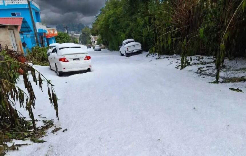 Nieve