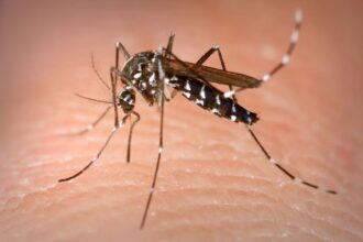 La OPS reporta un aumento de casos de dengue en Costa Rica, Honduras y El Salvador
