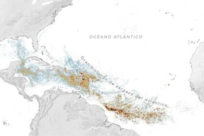 Cinturón de sargazo del Atlántico alcanza segundo nivel más alto de la historia