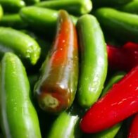 EE. UU. investiga brote de salmonela asociado a jalapeños importados de México
