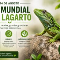 Día Mundial del Lagarto: una fecha para promover su conservación