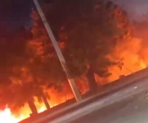 Incendio en las proximidades del Palacio de Justicia genera alarma en la Circunvalación Sur de Santiago