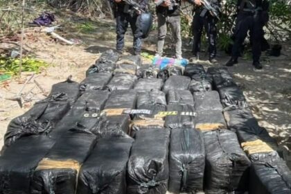 Honduras localiza 1,5 toneladas de cocaína en zona de manglares en las últimas 48 horas