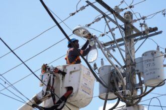 Edesur instala, sustituye y normaliza casi 10,000 luminarias en 12 demarcaciones