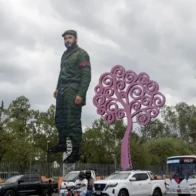 Rosario Murillo tilda de «traidores» a los críticos de la escultura de Fidel Castro en Nicaragua