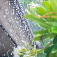 Onda tropical provocará aguaceros, tormentas eléctricas y ráfagas de viento este martes