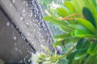 Onda tropical provocará aguaceros, tormentas eléctricas y ráfagas de viento este martes