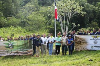 Reforestación para la vida: Ministerio de Defensa impulsa la recuperación ambiental en Manabao
