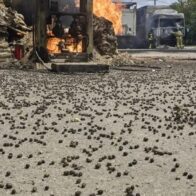 El responsable de una empresa de drones rusos, en estado crítico, tras atentado con bomba