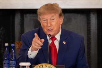 Congresista apoyado por Trump y un exrepublicano, los aspirantes a reemplazar a DeSantis