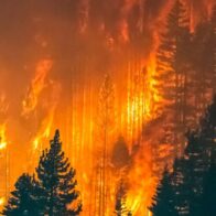Incendios forestales azotan Europa: decenas de heridos y miles de evacuados