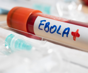Epidemia de ébola cubre un territorio más grande que Francia y donde no hay liquidez