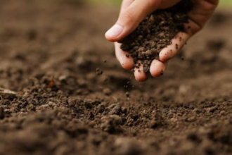 Reclaman a la UTEPDA proyecto agroforestal para impulsar el desarrollo del municipio