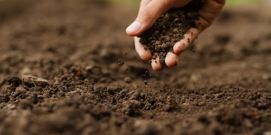 Reclaman a la UTEPDA proyecto agroforestal para impulsar el desarrollo del municipio