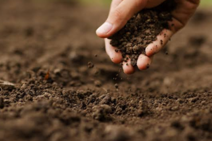 Reclaman a la UTEPDA proyecto agroforestal para impulsar el desarrollo del municipio