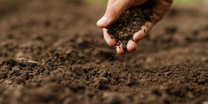 Reclaman a la UTEPDA proyecto agroforestal para impulsar el desarrollo del municipio