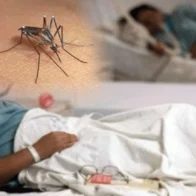 Dengue suma 11 casos en una semana y llega a 213 contagios en 2026