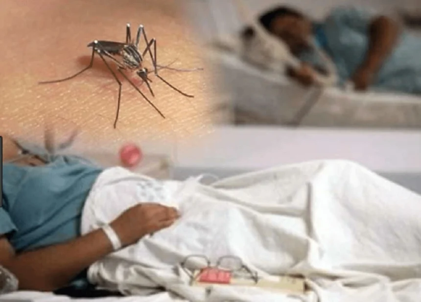 Dengue suma 11 casos en una semana y llega a 213 contagios en 2026