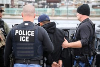Congresistas y activistas de Estados Unidos rechazan la compra de guantes eléctricos para el ICE