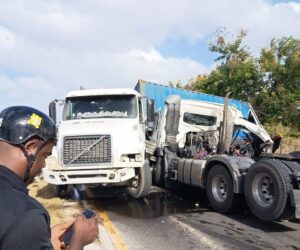 Dos cabezotes se deslizan en la Autovía del Este, próximo a la Cueva de las Maravillas