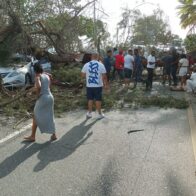 Al menos cuatro personas resultaron heridas este sábado luego de que un árbol cayera sobre varios vehículos