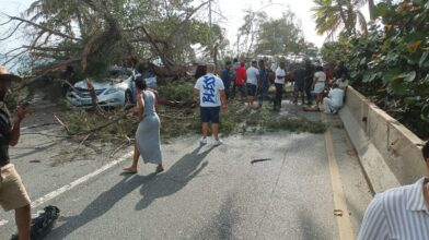 Al menos cuatro personas resultaron heridas este sábado luego de que un árbol cayera sobre varios vehículos