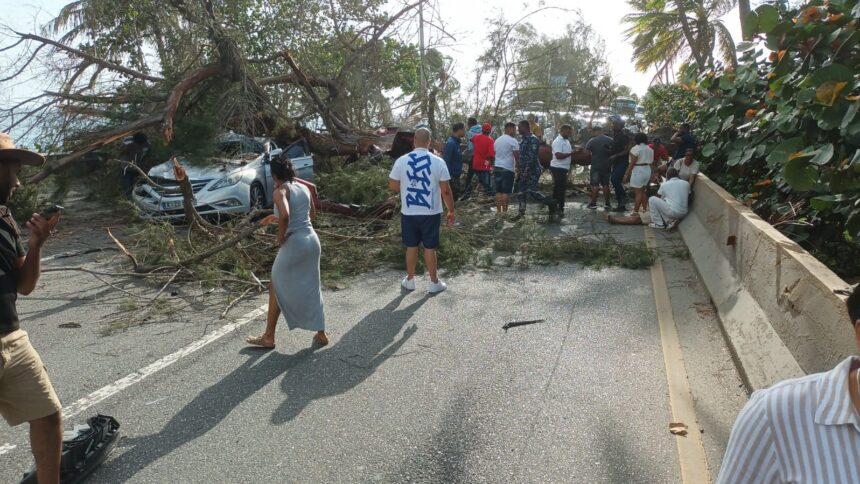 Al menos cuatro personas resultaron heridas este sábado luego de que un árbol cayera sobre varios vehículos