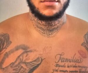 Tolentino publica primera foto de “Macho” tras ser apresado en Jamaica por muerte de recolector de basura en Santiago