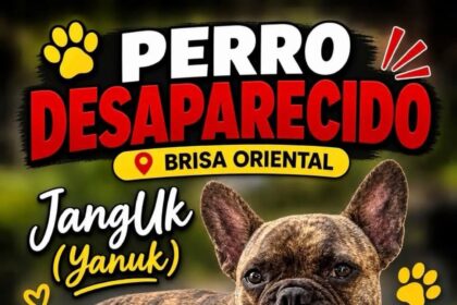 Buscan a Jangluk, perro desaparecido en Brisa Oriental; ofrecen RD$10,000 de recompensa