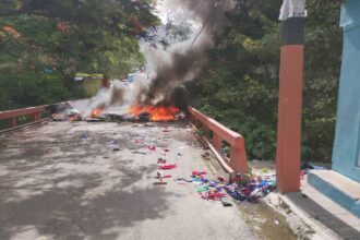 Protestan en Peralta por prolongados apagones y reclaman solución al servicio eléctrico