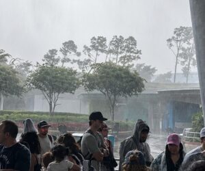 Fuerte tormenta azota Walt Disney World y obliga a cerrar atracciones