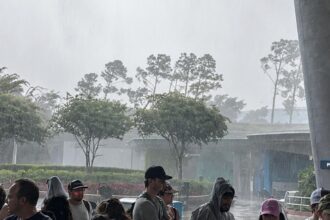 Fuerte tormenta azota Walt Disney World y obliga a cerrar atracciones