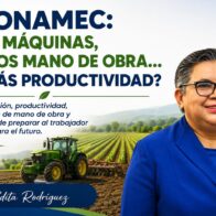 PRONAMEC: más máquinas, menos mano de obra… ¿y más productividad?
