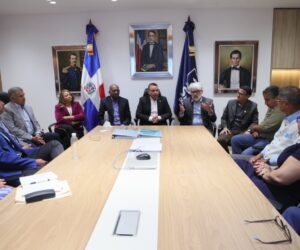SNS y sociedades médicas coordinan acciones para fortalecer atención materna y neonatal