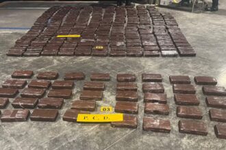 Costa Rica incauta 256 paquetes de cocaína y detiene a ocho