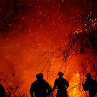 De la Espriella crea grupo élite para perseguir a responsables de incendios en Colombia