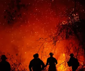 De la Espriella crea grupo élite para perseguir a responsables de incendios en Colombia