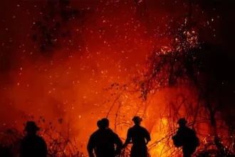 Incendio en la Sierra de Bahoruco está bajo control y entra en fase de liquidación