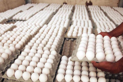 Exportaciones de huevos.