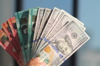 Pesos dominicanos y dólares.