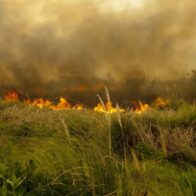 Incendios forestales: un riesgo que puede prevenirse con conciencia y acción