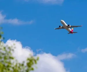 Mueren dos personas al estrellarse una avioneta en Florida