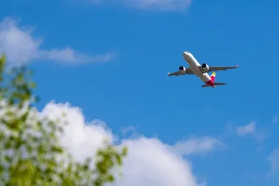 Mueren dos personas al estrellarse una avioneta en Florida