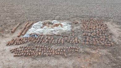 Un granjero encontró 710 restos explosivos de la Segunda Guerra Mundial en un campo de Płońsk, en Polonia