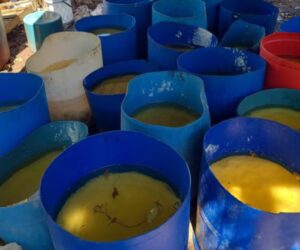 Decomisaron casi 17 toneladas de metanfetamina en Sinaloa equivalente a 347 millones de dólares