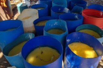 Decomisaron casi 17 toneladas de metanfetamina en Sinaloa equivalente a 347 millones de dólares