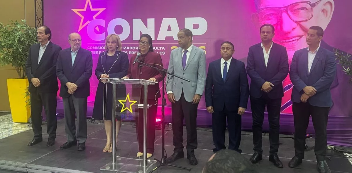 PLD suspende consulta sobre aspirantes presidenciales