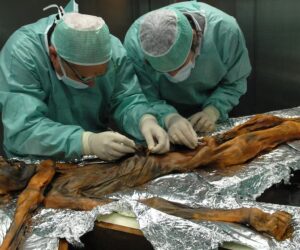 A 35 años del hallazgo de Ötzi, “el hombre de hielo”